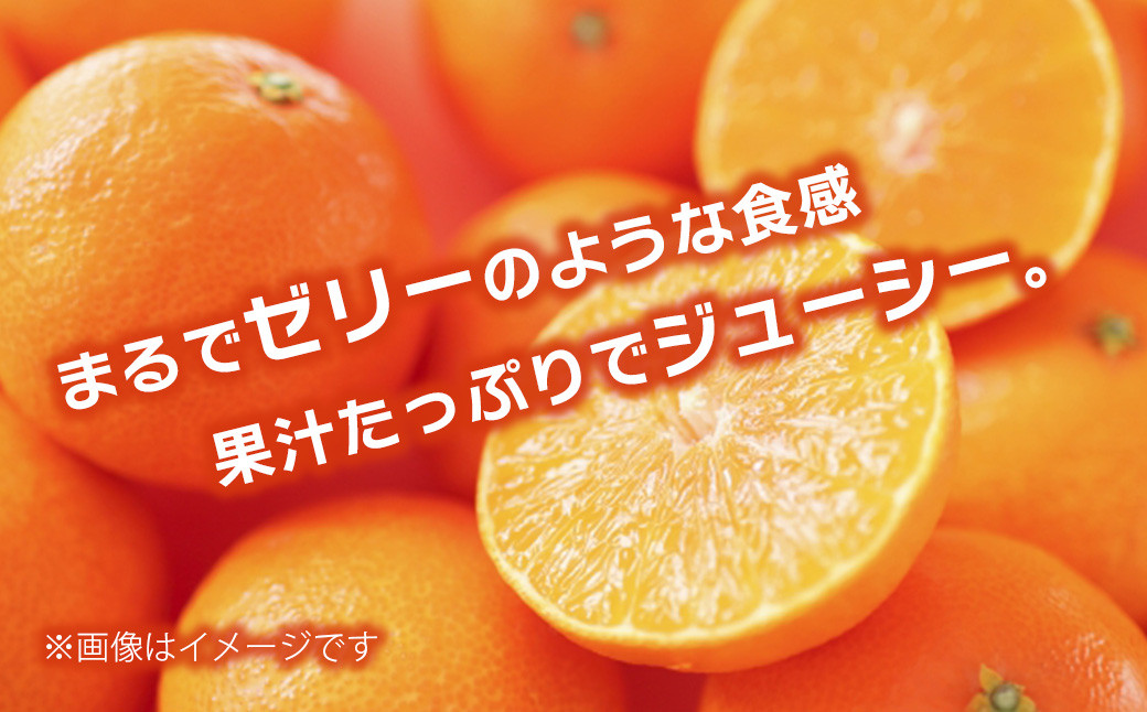 画像はイメージです