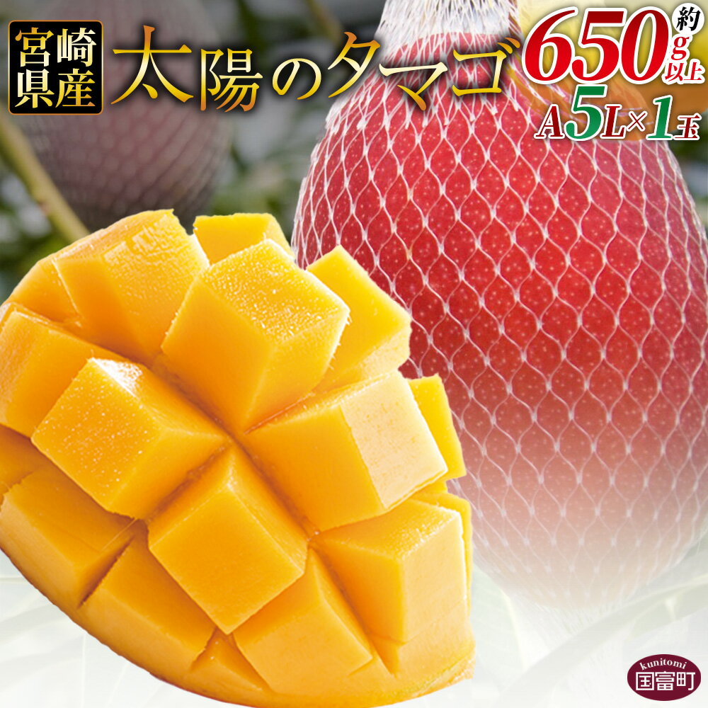 【ふるさと納税】数量限定【2026年発送】＜宮崎県産 太陽のタマゴ A等級 5Lサイズ×1玉（約650g以上）＞※入金確認後、2026年4月上旬～6月末迄に順次出荷 JAみやざき 宮崎中央管内産 国産 完熟マンゴー マンゴー 果物 果実 フルーツ 南国 美味しい 宮崎県 国富町【冷蔵】
