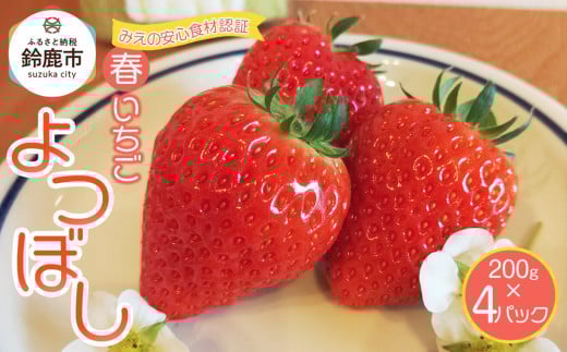 【先行予約】2026年1月　よつぼし いちご　200g×4