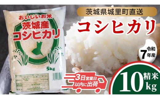 【令和7年産】 コシヒカリ 精米 10kg スピード発送 産地直送 茨城県 城里町 新米 精白米 米 ご飯 こしひかり 米 白米 精米 単一原料米 (AX035)