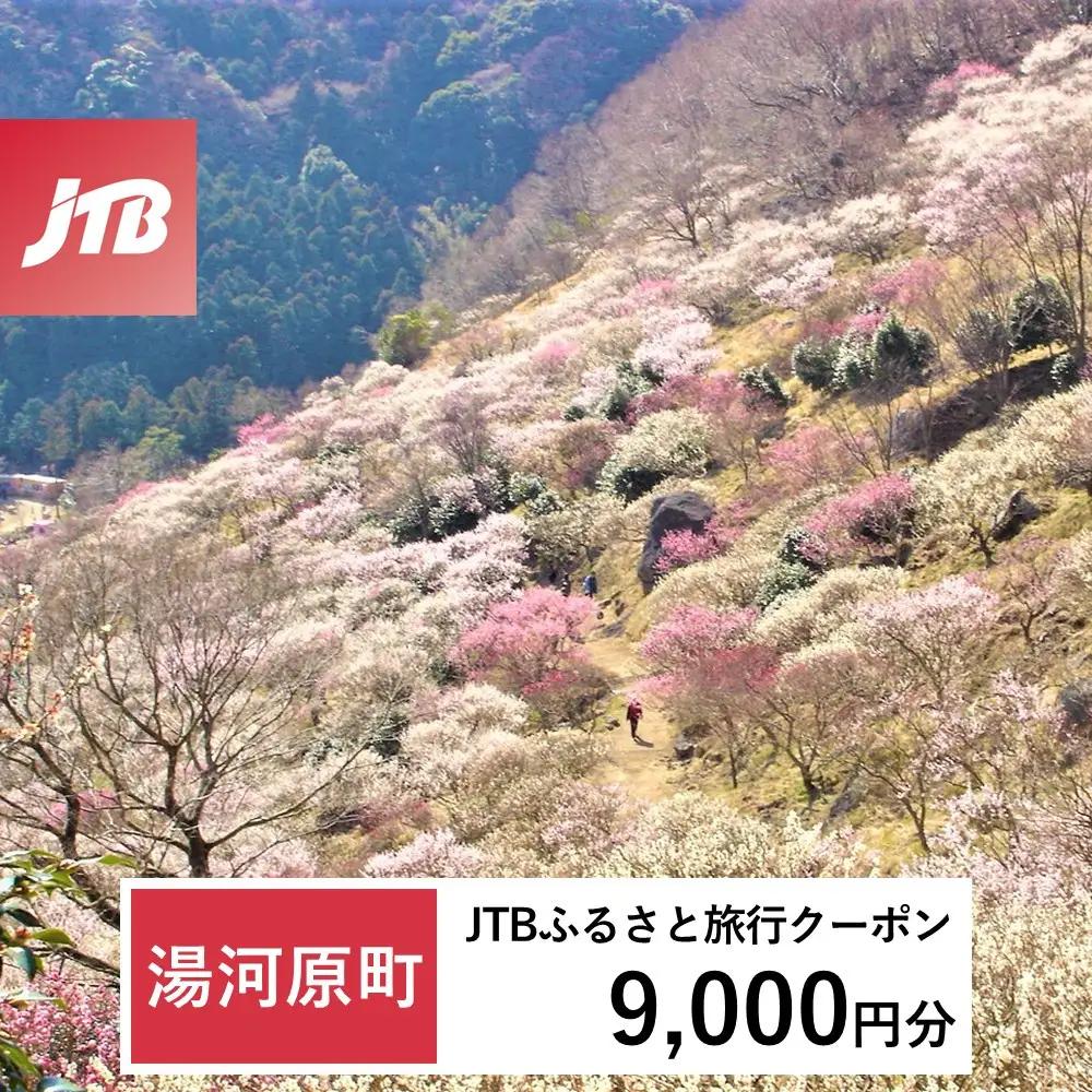 【ふるなび限定】【湯河原町】JTBふるさと旅行クーポン（9,000円分）有効期間3年（Eメール発行）｜旅行 トラベル 予約 国内旅行 JTB 宿泊 観光 体験 旅行券 宿泊券 旅行予約 温泉 ホテル 旅館 チケット 子供 子連れ カップル 家族 人気 おすすめ 旅行クーポン 店頭 オンライン ネット予約 電話 有効期間3年