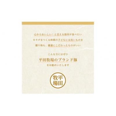 ふるさと納税 酒田市 【平田牧場】 金華豚◆あぶり豚丼セット　130g×6パック |  | 02