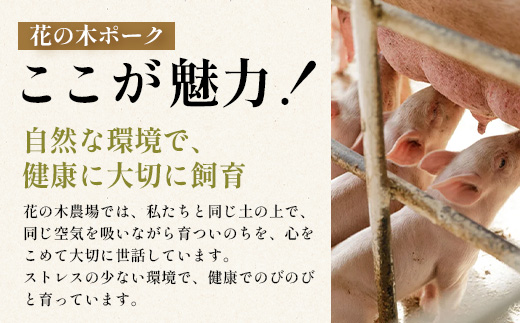 花の木農場 鹿児島県産 豚ロース しゃぶしゃぶ用 約1kg（500g×2パック）HK-5｜ 豚肉 ロース肉 精肉 しゃぶしゃぶ 冷凍 国産 お肉 冷しゃぶ 農福連携 鹿児島県 南大隅町 第2花の木ファ