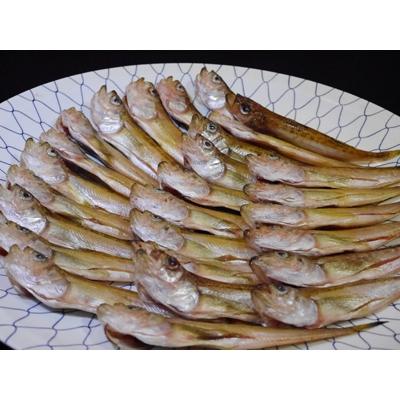 ふるさと納税 新温泉町 美味い、脂の乗った浜坂産一夜干しハタハタ1.0kg |  | 02