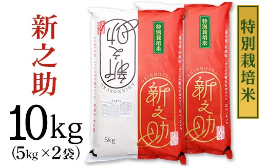 
                  B7-8ST101新潟県長岡産新之助10kg（特別栽培米）
                