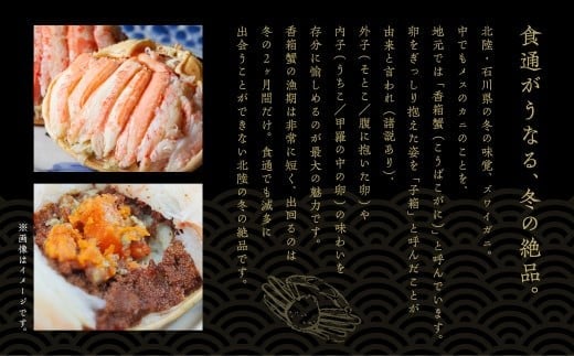 【先行予約】「香箱ガニ」 2杯セット 石川冬の味 かに 蟹 メス せこがに セコガニ 蟹味噌 ｜ 石川県 小松市 【魚たじま】