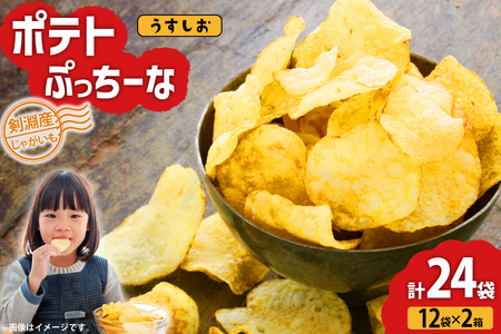 【期間限定発送】 ポテトチップス うすしお 100g 12袋入 2箱 計24袋 2.4kg ポテトぷっちーな [クレヨン農園 北海道 剣淵町 14656349]