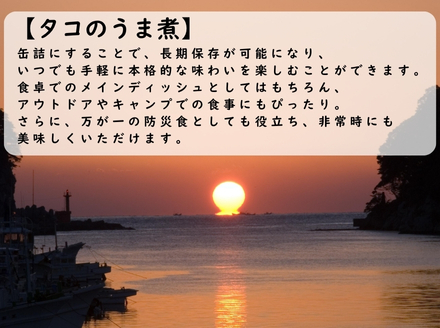 漁師たつ兄のタコのうま煮２本
