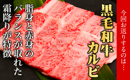 黒毛和牛 特選 カルビ 焼肉 600g エムエスエイ (株)《30日以内に出荷予定(土日祝除く)》大阪府 羽曳野市 送料無料 牛肉 牛 和牛 焼き肉用 焼き肉