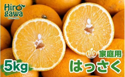 はっさく 5kg+250g（痛み補償分） 家庭用 光センサー / 八朔 訳あり 甘い 和歌山 有田 柑橘 ※1月上旬〜4月下旬頃に順次発送予定 ※北海道・沖縄・離島への配送不可 【ikd021-c-5B】