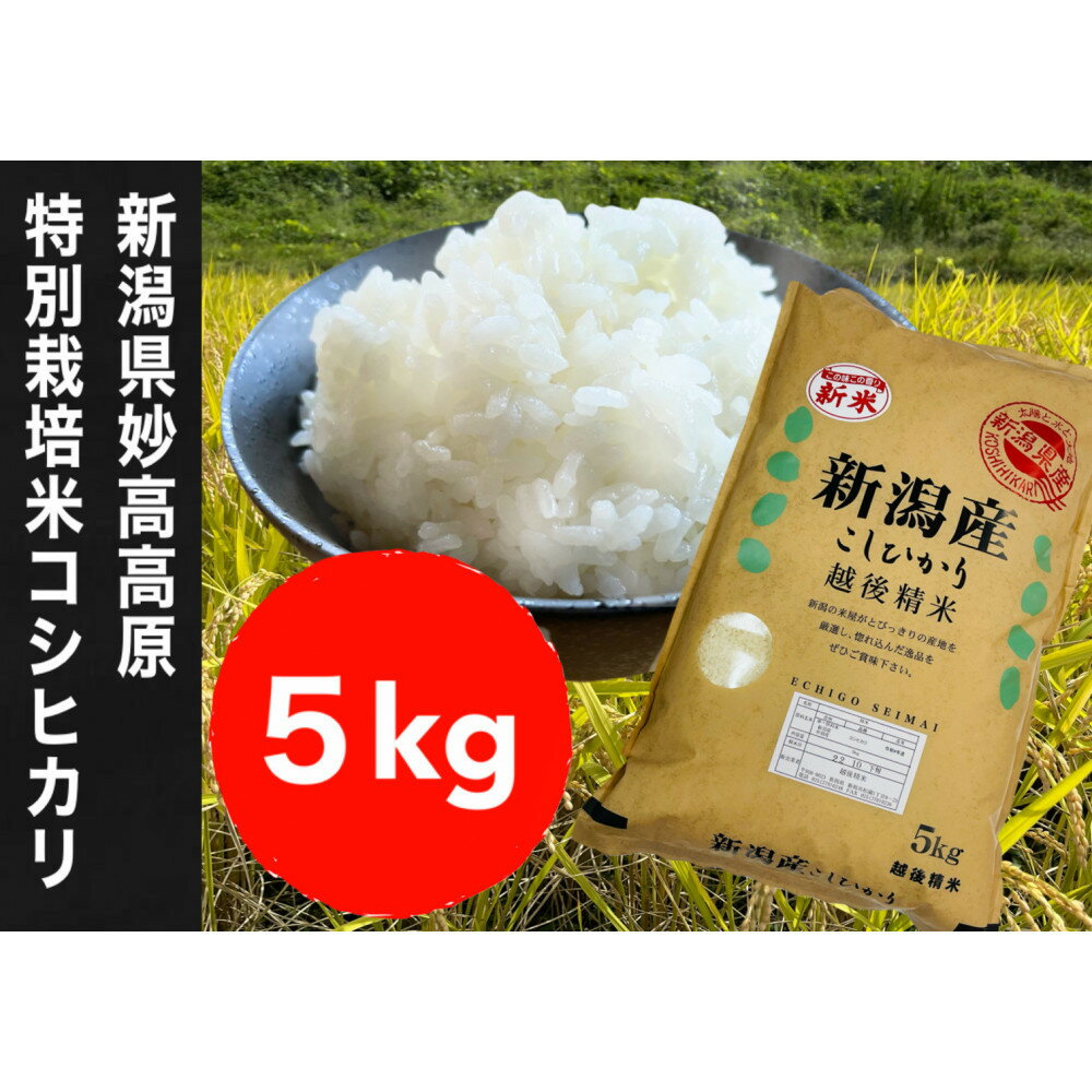 【ふるさと納税】【令和7年度産新米】新潟県妙高高原減農薬特別栽培米コシヒカリ 5kg