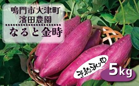 【濱田農園】 なると金時 訳あり サイズ混合5kg 【予約受付中・2024年12月頃より順次発送】 |  さつまいも サツマイモ ご飯 天ぷら なると金時 ホクホク