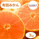 【ふるさと納税】和歌山県産 有田みかん 3kg 訳あり 家庭用 ※2024年10月下旬～2025年1月中旬頃に順次発送予定（お届け日指定不可)