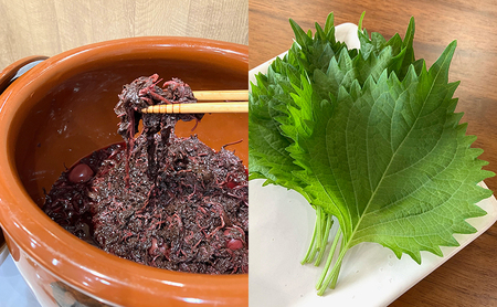 花餃子(22個入×2袋)と梅しそ餃子(22個入×2袋)のセット  惣菜 冷凍餃子 中華 夕飯 夜ごはん おかず 食べ比べ おつまみ ビールのおつまみ 