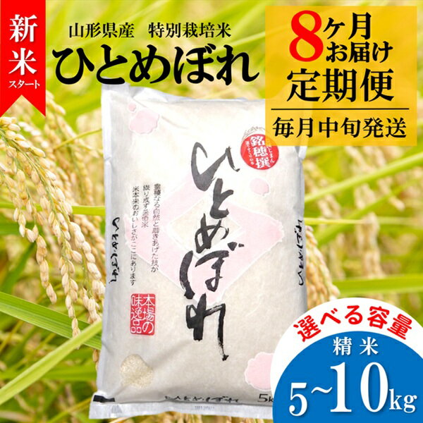 【ふるさと納税】選べる容量 （5kg～10kg） 令和8年産 10月スタート【定期便8回】竹原田ファームの特別栽培米ひとめぼれ