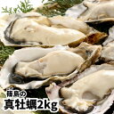 【ふるさと納税】 牡蠣 殻付き 真牡蠣 2kg 生食用 冷凍 海鮮 貝 海産物 バーベキュー BBQ 魚貝類 海の幸 海のミルク 海鮮浜焼き 夏 おすすめ 人気 愛知県 南知多町 篠島【配送不可地域：離島】