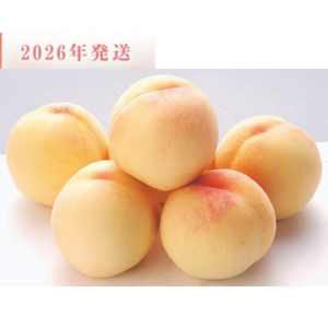桃 和歌山県産 清水白桃 5～8玉入り 秀品※2026年7月中旬～発送【mtgn065A】