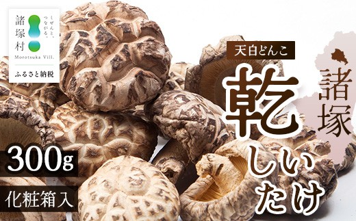 
                  宮崎県諸塚村産 天白どんこ 約300g 化粧箱入り 常温｜干ししいたけ 椎茸 冬菇 肉厚 お煮しめ お鍋 網焼き 原木栽培 CoC認証（FSC®C001800） 高級 希少 もろっこはうす MO-28
                