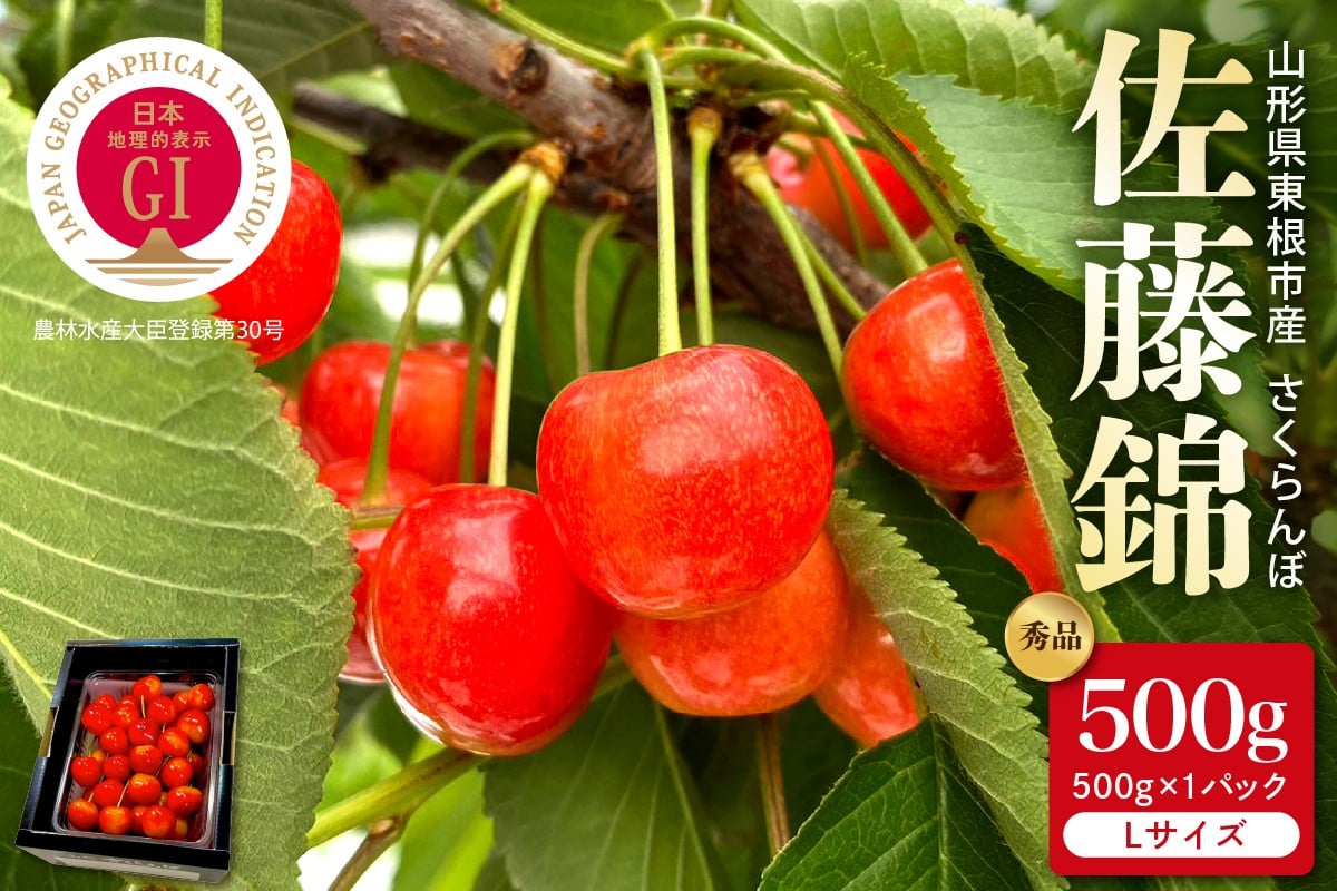 
                  【2026年産 先行予約】GI東根さくらんぼ「佐藤錦」秀品 500gバラ詰め（500g×1パック） Lサイズ 山形県 東根市 hi088-010
                