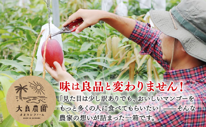 【2026年夏発送】【先行予約】訳あり  アップルマンゴー！2kg箱(4〜6玉)