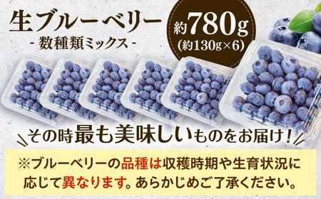 【冷蔵】【6月中旬から7月下旬に順次発送】ブルーベリー 780g（130g×6パック） 生ブルーベリー ミックスベリー ブルーベリー 三次市/小川モータース[APCH011]