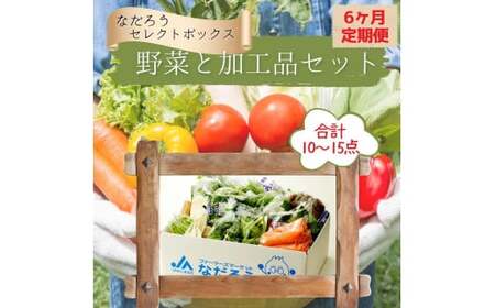 【6ヶ月定期便】野菜と加工品「なだろう」セレクトボックス