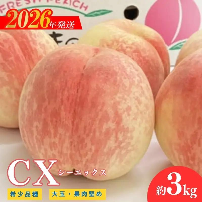 No.2580希少品種CX/シ－エックス 約3kg【2026年発送　先行受付】