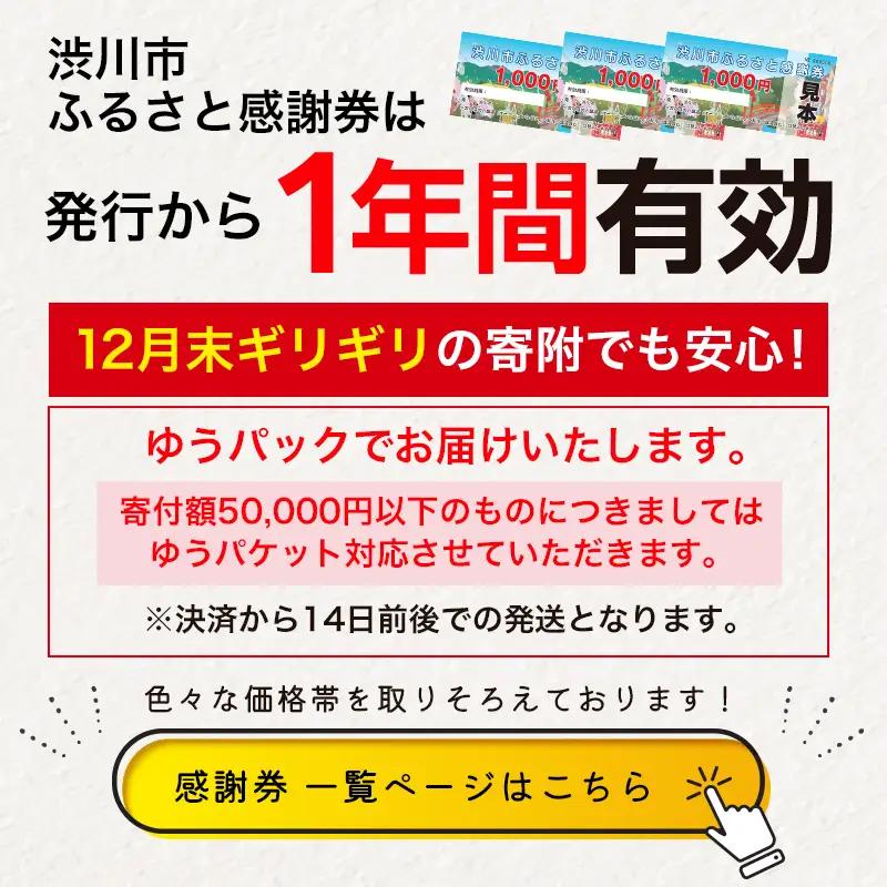 渋川市ふるさと感謝券 88,000円分（1000円×88枚） 伊香保温泉 うどん 宿泊 旅行 観光 ホテル 旅館 トラベル 飲食 お土産 F4H-0562