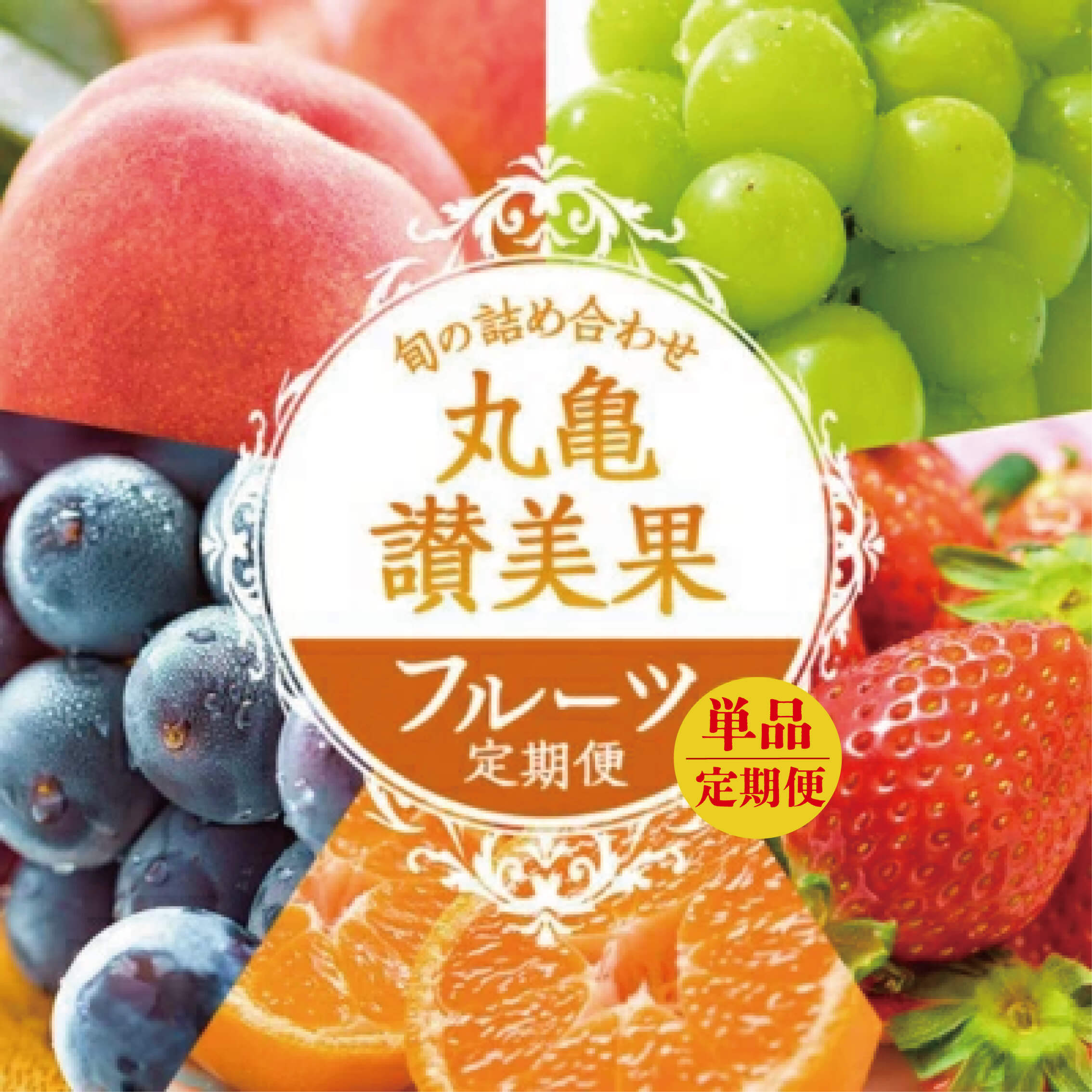 
            フルーツ定期便  選べる回数 フルーツ 定期便  丸亀讃美果 セット 詰め合わせ 桃 シャインマスカット いちご ぶどう みかん 旬の果物 旬のフルーツ 果物 くだもの 紅みかん せとか 清見オレンジ キウイフルーツ キウイ 12回 1年 お楽しみ フルーツ定期便 人気果物 人気フルーツ 香川 丸亀
          