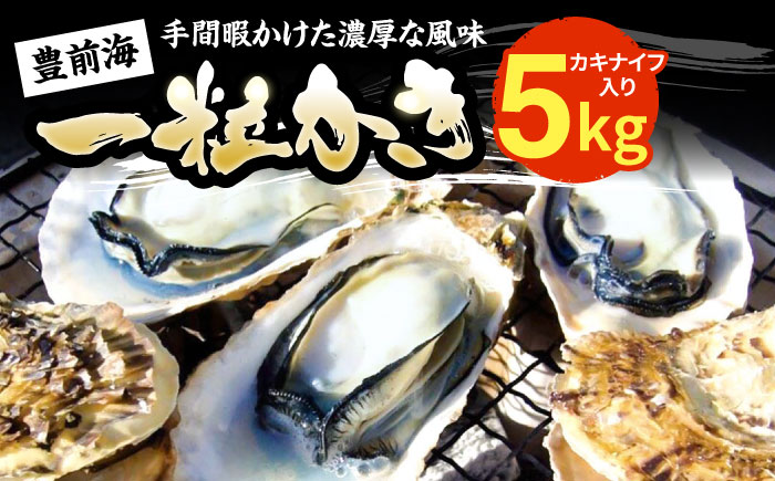 【先行予約】豊前海一粒かき 5kg  【2027年1月中旬以降順次発送】  《豊前市》【豊築漁業協同組合】 牡蠣 カキ かき 牡蛎 [VAG010]