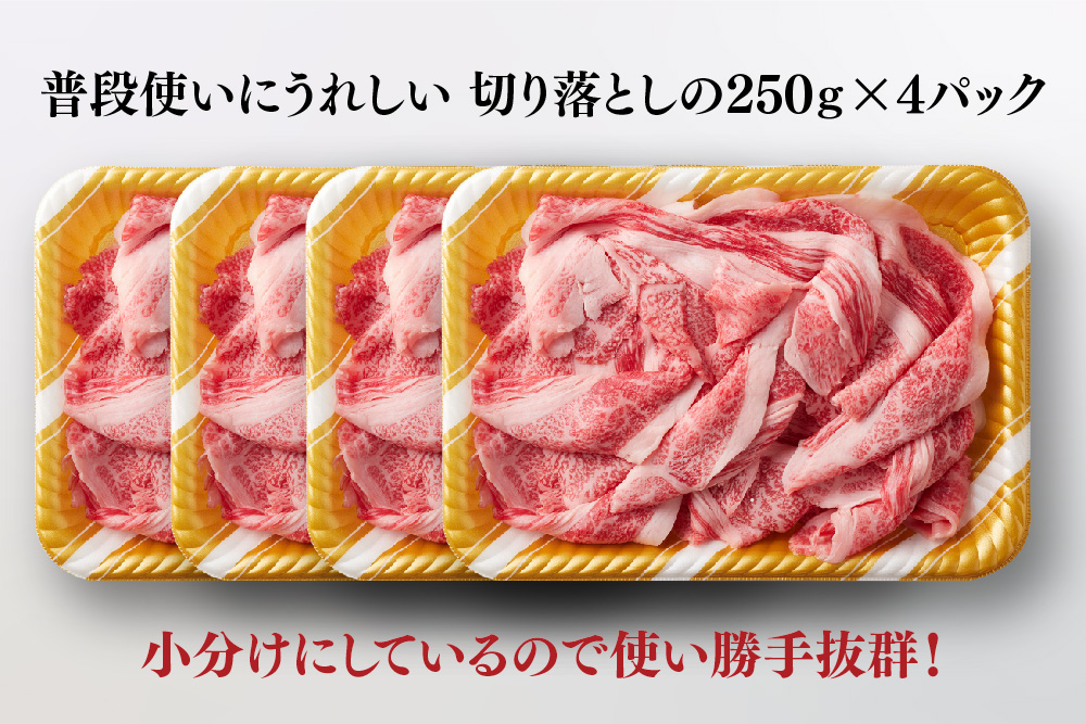 艶さし!【A4～A5】佐賀牛大判霜降り贅沢切り落とし 1kg(250g×4P)【佐賀牛 切り落とし 霜降り 肩ロース 大判 一枚肉 薄切り 250g 小分け】(H112342)