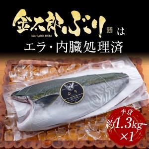 宮崎産 新海屋 鰤屋金太郎 金太郎 ぶり フィレ 1.3kg～ 半身 1枚　冷凍　N018-ZB115_2