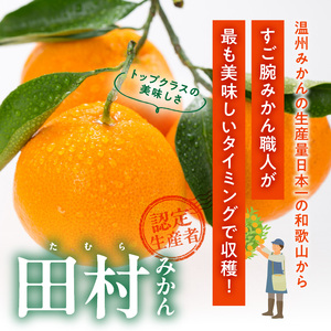 V7299_【2024年 先行予約】田村みかん / 5kg秀品【大玉サイズ】/ 紀州和歌山有田郡湯浅町田村地区産 / 最高級プレミアムブランドの田村ミカン 
/ 紀伊国屋文左衛門本舗(お届け日指定不可