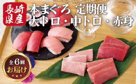 【隔月6回定期便】長崎県産 本まぐろ 3種セット  ( 大トロ 中トロ 赤身 ) 総計600g以上【本家永松屋】本マグロ 本マグロ食べ比べ おすすめ本マグロ 人気本マグロ 本マグロ刺身 中トロ本まぐろ 大トロ本まぐろ 赤身本まぐろ 本まぐろ