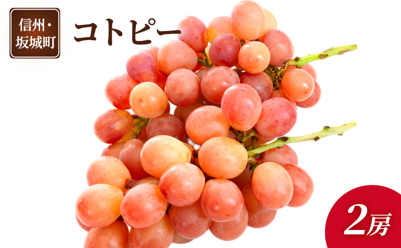 ぶどう コトピー 2房 葡萄 ブドウ フルーツ 果物 デザート おやつ 信州 長野 坂城町