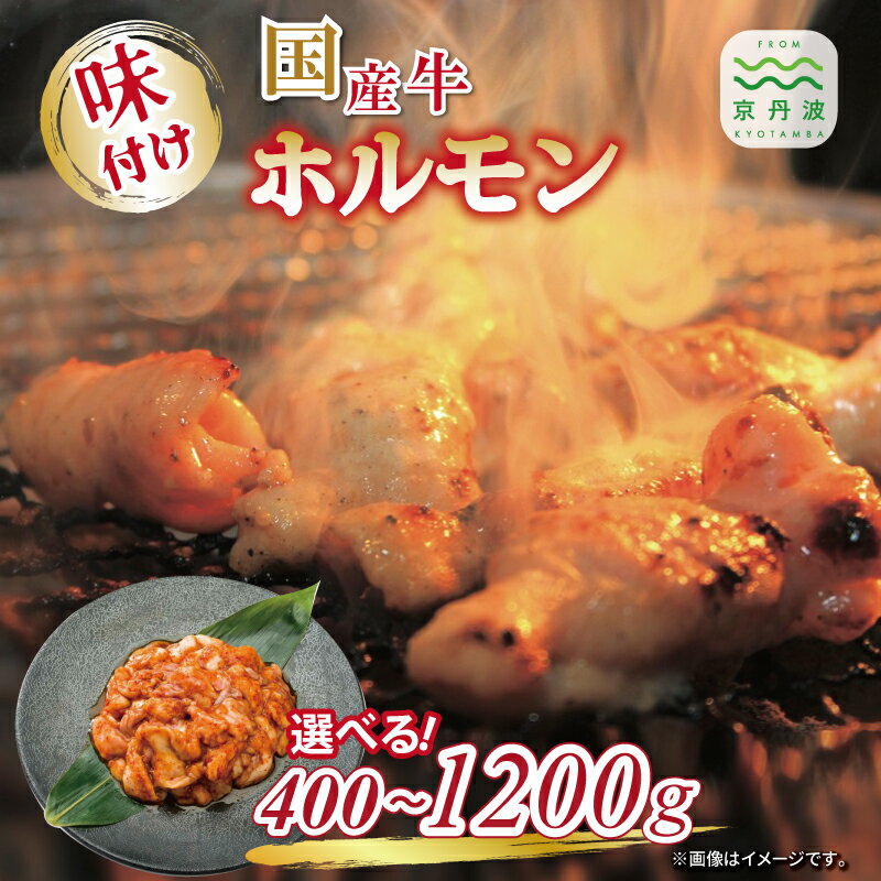 【ふるさと納税】【2025年1月以降発送】 国産牛ホルモン ホソ 味付け 400g 800g 1200g 選べる 数量 人気商品 国産牛 ホルモン 特製たれ 味付け 焼肉 バーベキュー 京都 丹波 いづつ屋 ※北海道・沖縄・その他離島は配送不可