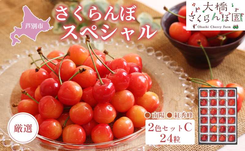 【 先行受付 】さくらんぼ 厳選 さくらんぼ スペシャル 2色 