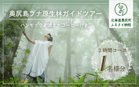 奥尻島ブナ原生林ガイドツアー １名様分(ハンモックと湧き水コーヒー付き 2時間) 【 ふるさと納税 人気 おすすめ ランキング 体験チケット 体験 ブナ原生林 ガイド ツアー ハンモック 湧き水 自然林 散策 北海道 奥尻町 送料無料 】 OKUE004