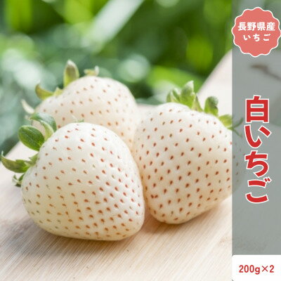 【ふるさと納税】【2026年発送予定】長野県産 希少 白いちご 2パック【約400g】【配送不可地域：離島】【1705267】