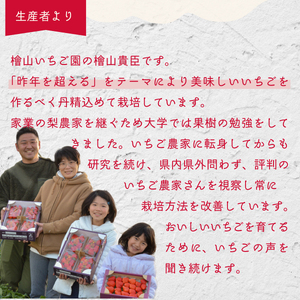 いちご 紅白食べ比べ いちご(４パック×1箱)