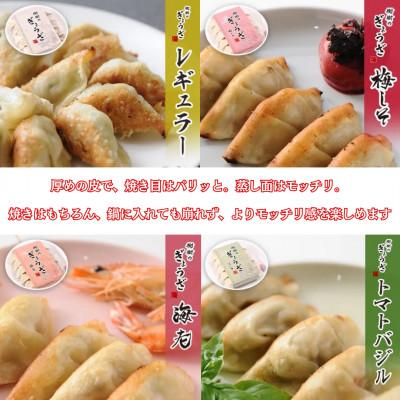 ふるさと納税 高鍋町 樹樹の餃子4種のセット 計70個 |  | 01