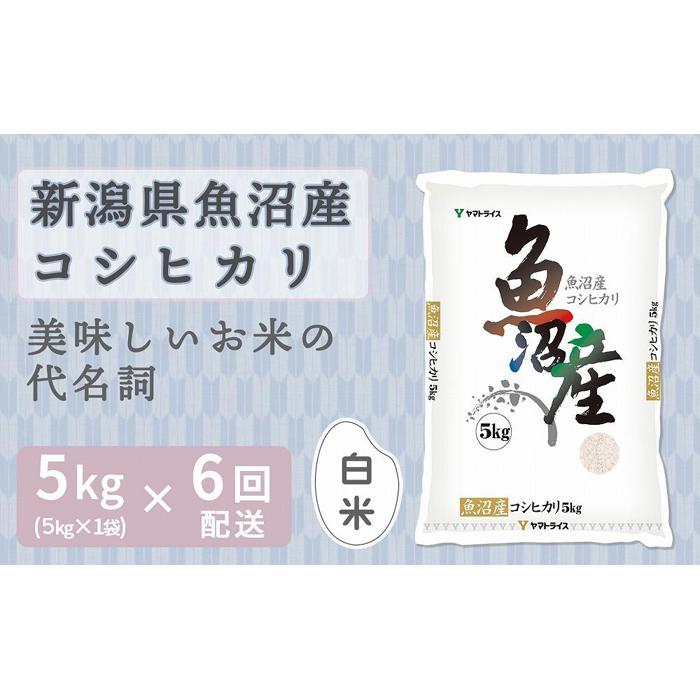 【ふるさと納税】【定期便全6回】新潟県魚沼産コシヒカリ5kg（受注の翌月から毎月配送）｜新潟県　新潟　魚沼　こしひかり　米　おこめ　お米 | お米 こめ 白米 食品 人気 おすすめ 送料無料