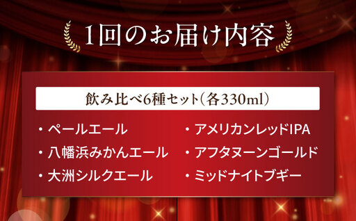 クラフトビール【全12回定期便】飲み比べ6種セット 計6本　愛媛県大洲市/株式会社　アライ[AGAY068]
