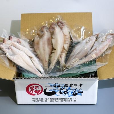 ふるさと納税 越前町 【越前海岸・美味直送シリーズ】一夜干しカレイ3種セット(2〜3尾入り3パック) |  | 01