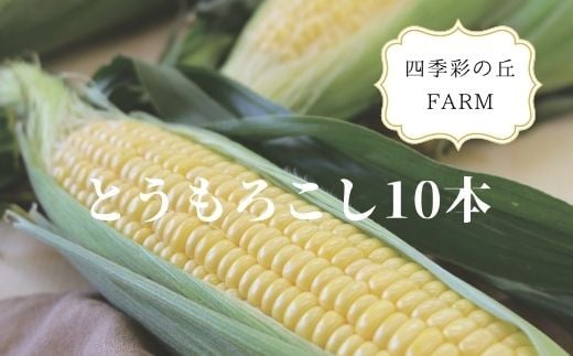 [018-35]【令和７年産予約受付！】四季彩の丘FARM　とうもろこし（１０本）