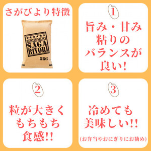 《マイスターセレクト》特A米食べ比べ【さがびより＆夢しずく】白米各5kg B568