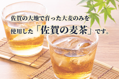 B-460 サンレイ『佐賀の麦茶』ペットボトル500ml×24本（香料無添加・カフェインゼロ）