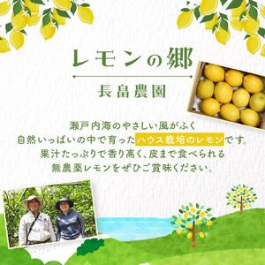 皮まで美味しい無農薬レモン 約3kg【栽培期間中農薬不使用】