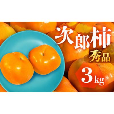 ふるさと納税 豊橋市 FarmSORAの次郎柿　秀品3kg