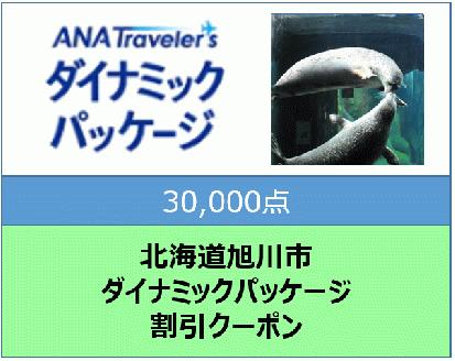 北海道旭川市ＡＮＡトラベラーズダイナミックパッケージ割引クーポン30,000点分